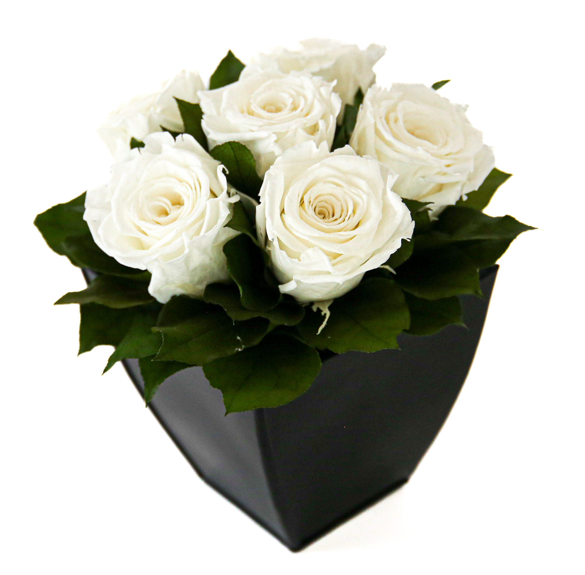 Preserved Roses in Azar - Image 5