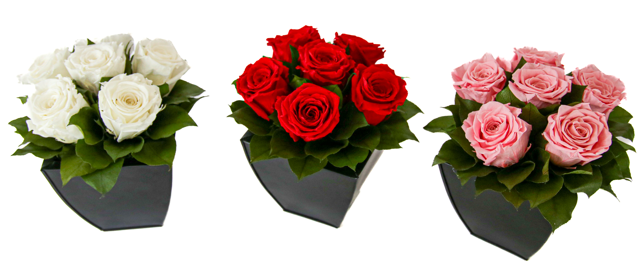 Preserved Roses in Azar - Image 6