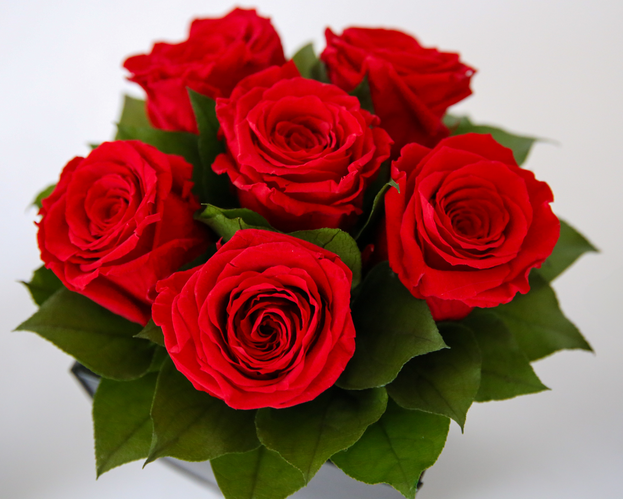 Preserved Roses in Azar - Image 2