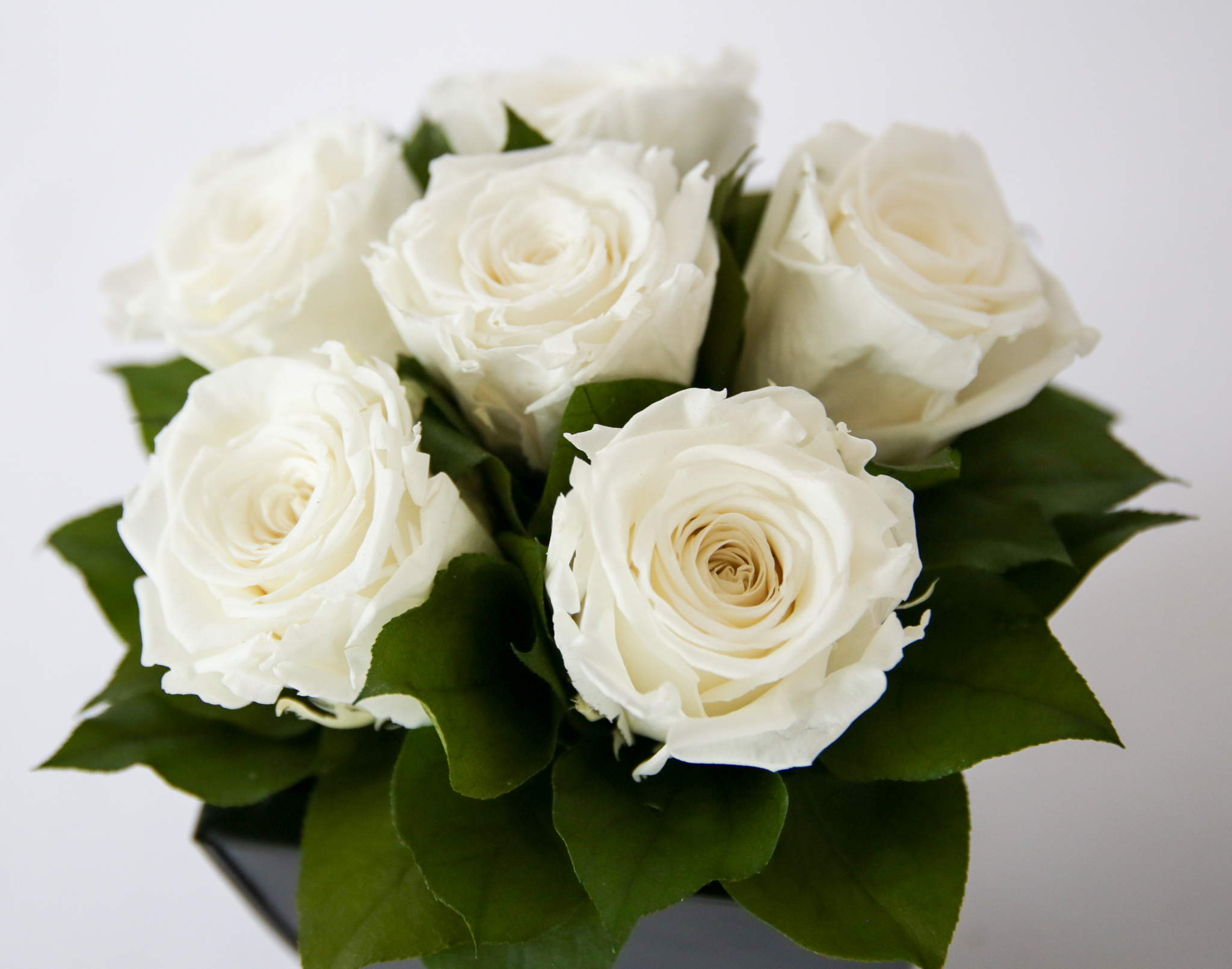 Preserved Roses in Azar - Image 4