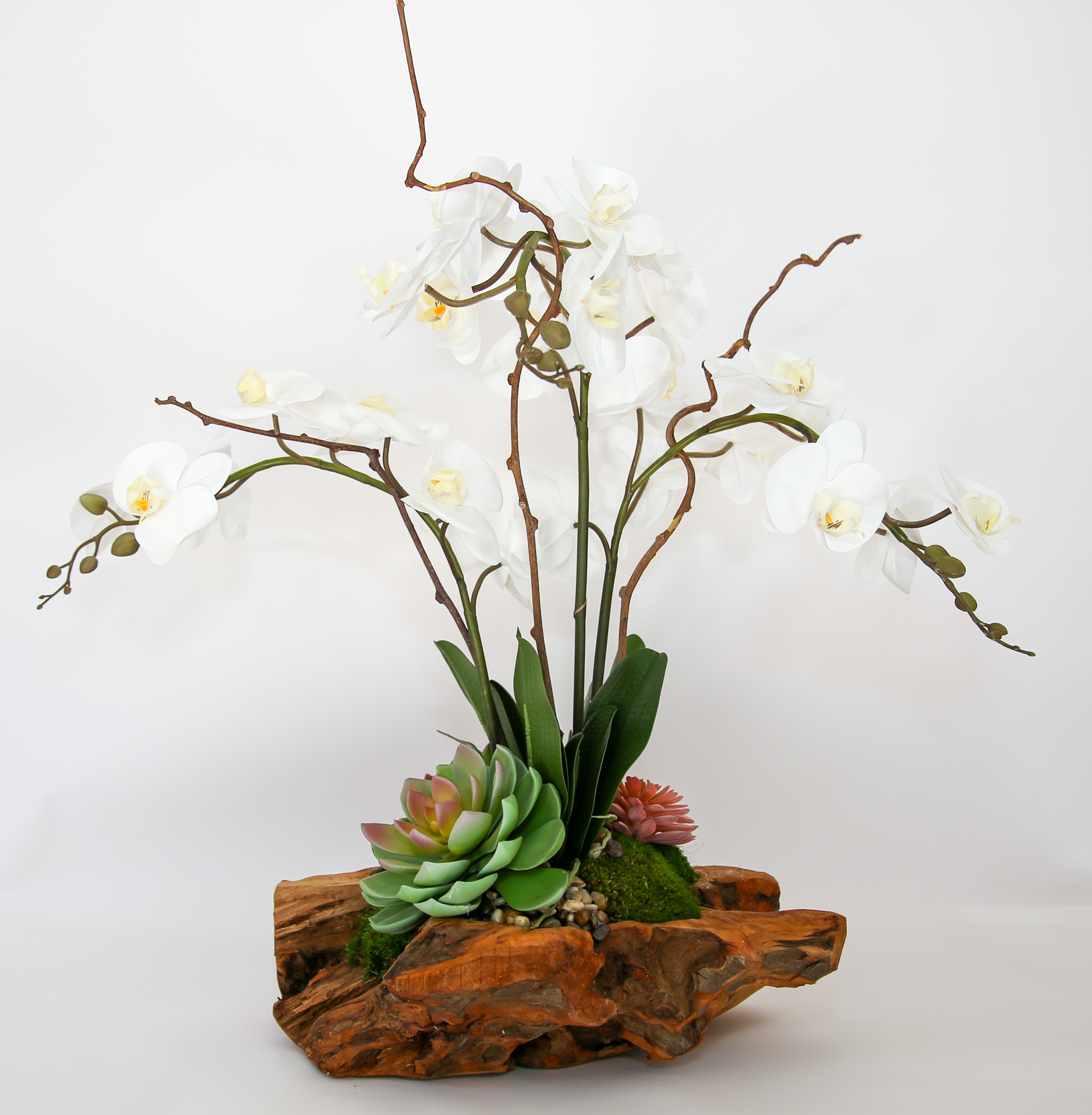 Live Edge Triple Orchid - Image 4