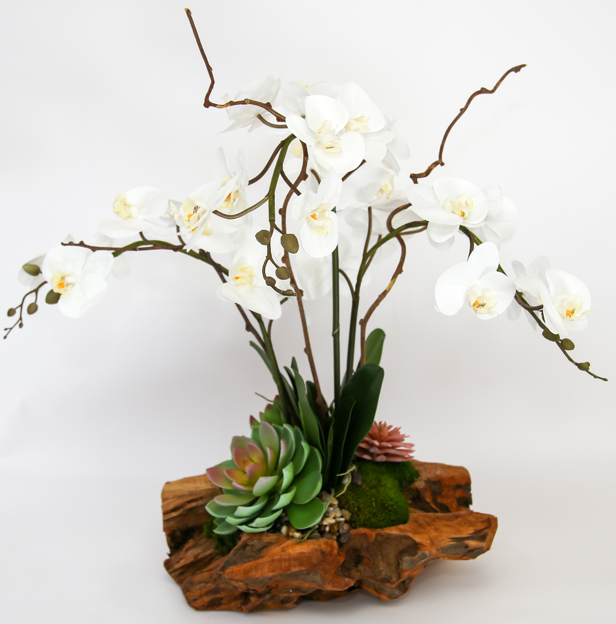 Live Edge Triple Orchid - Image 3