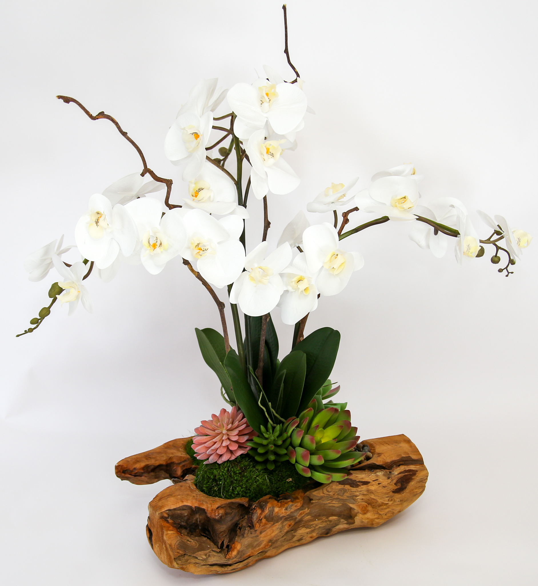Live Edge Triple Orchid - Image 2