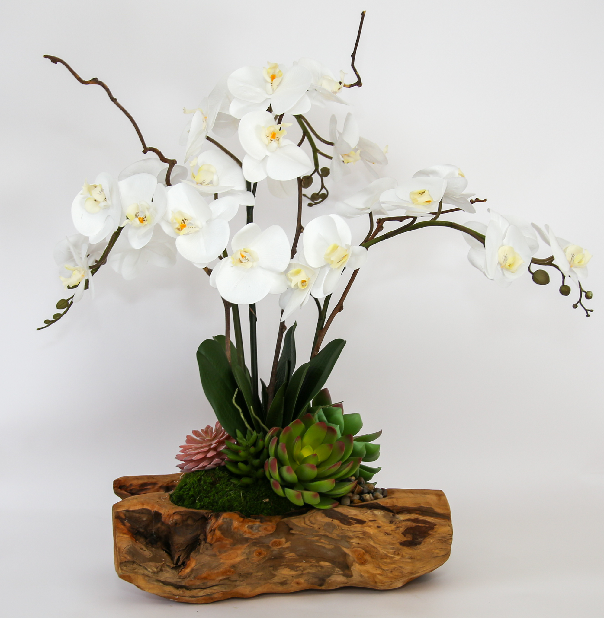 Live Edge Triple Orchid
