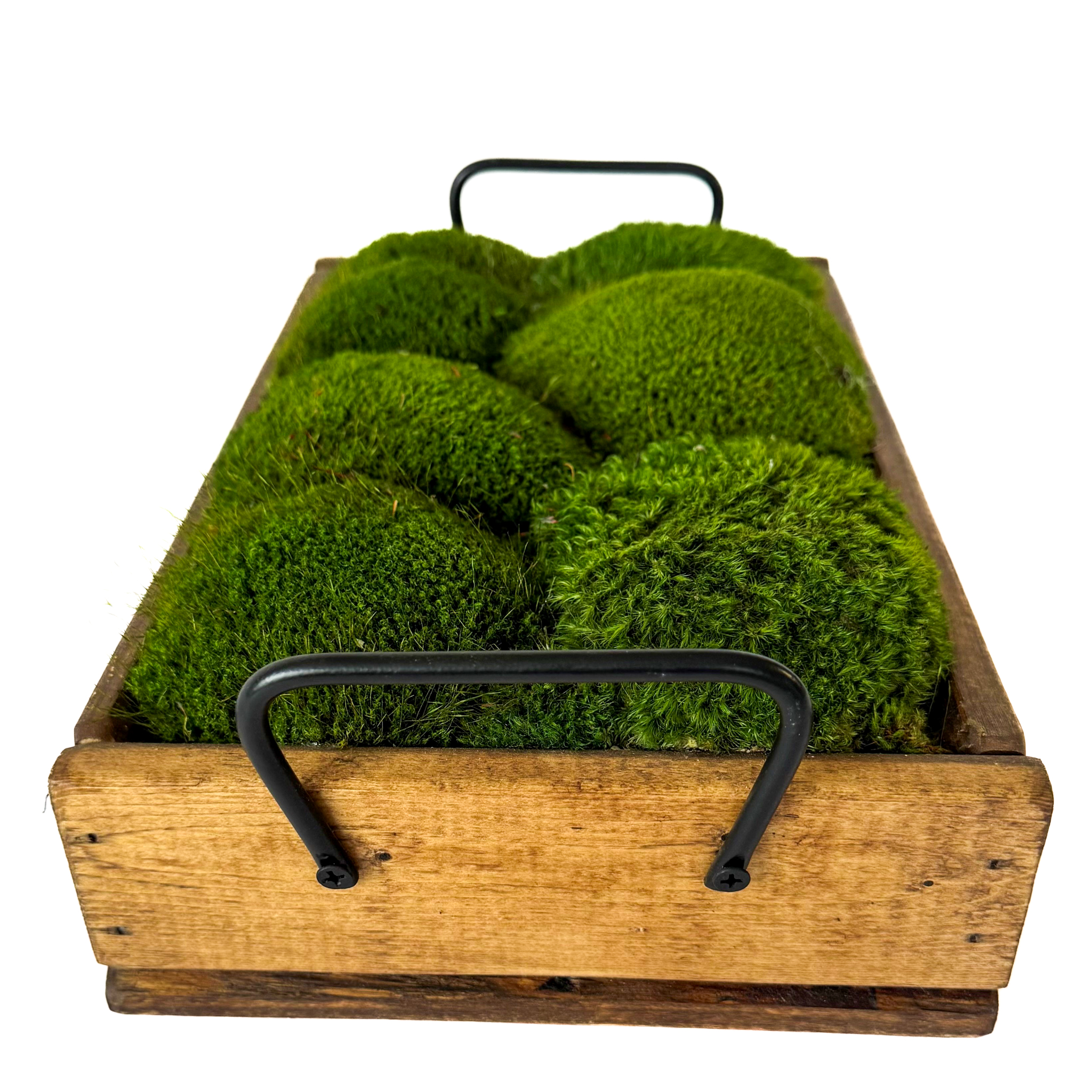 Handmade Pine Wood Tray with Preserved Mood Moss – 14.5" - Image 3