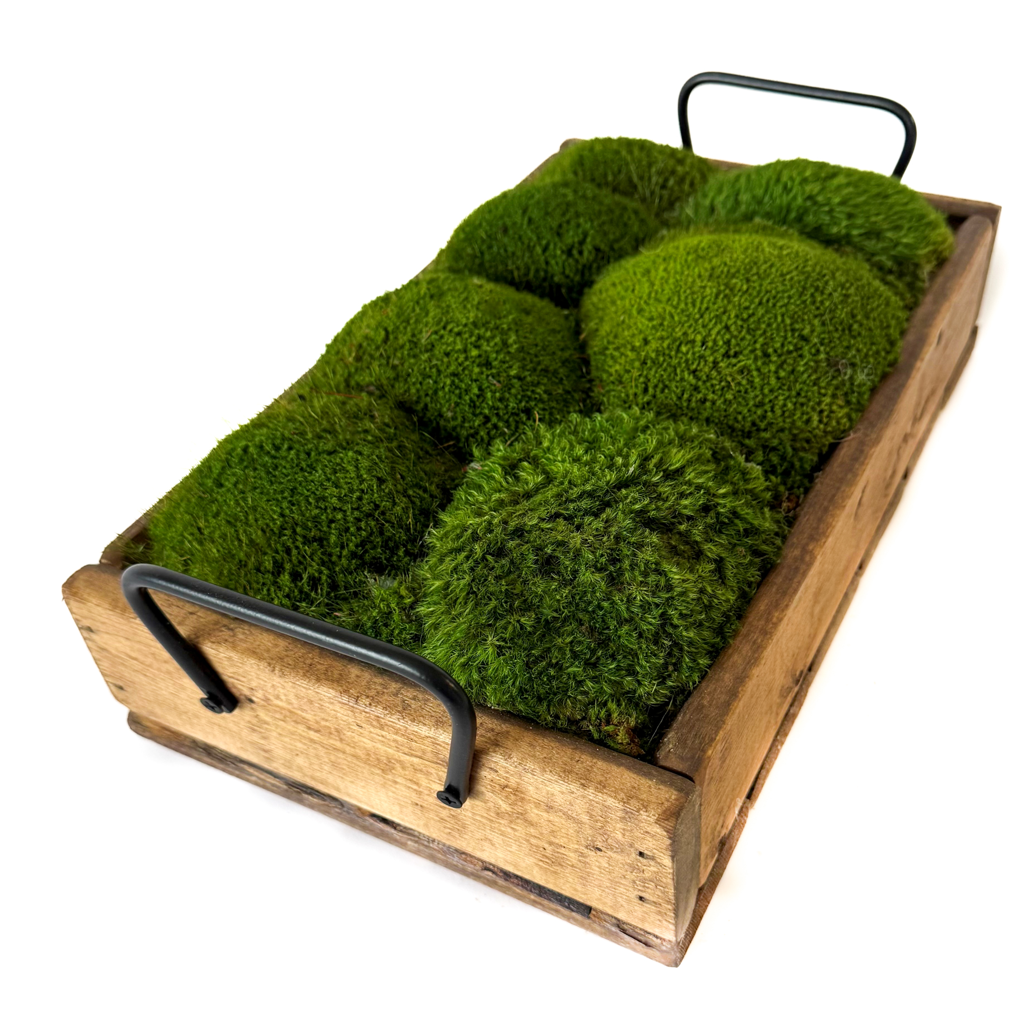 Handmade Pine Wood Tray with Preserved Mood Moss – 14.5" - Image 2