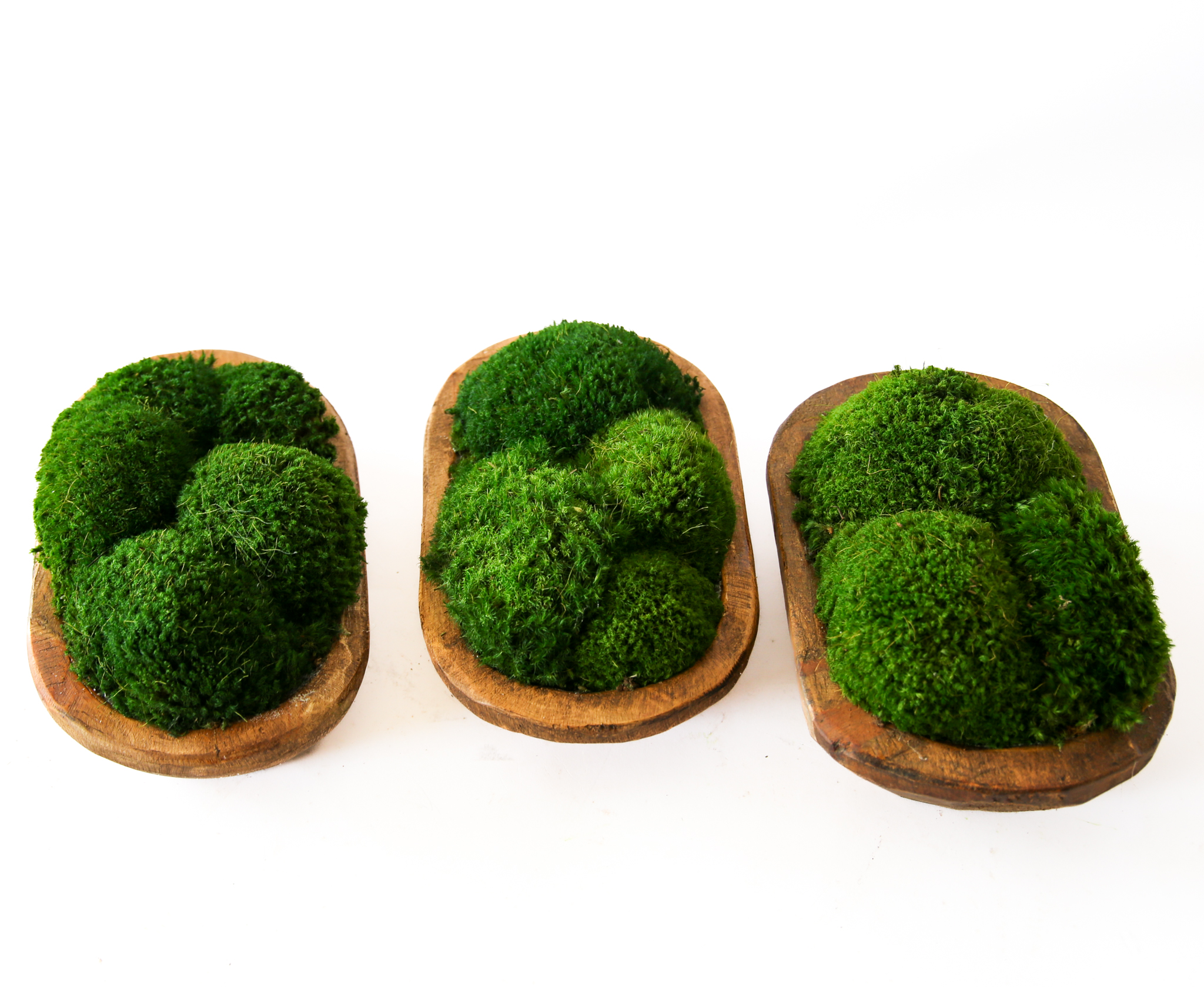 Preserved Moss Petite Wooden Dish - Image 3