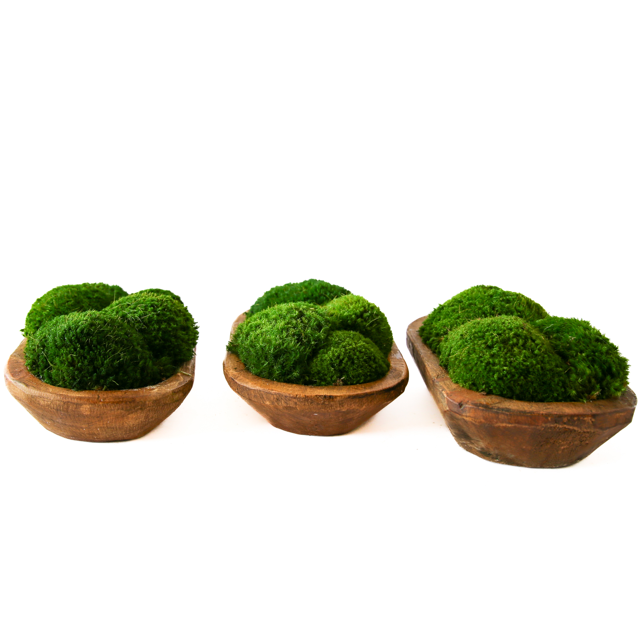 Preserved Moss Petite Wooden Dish - Image 4