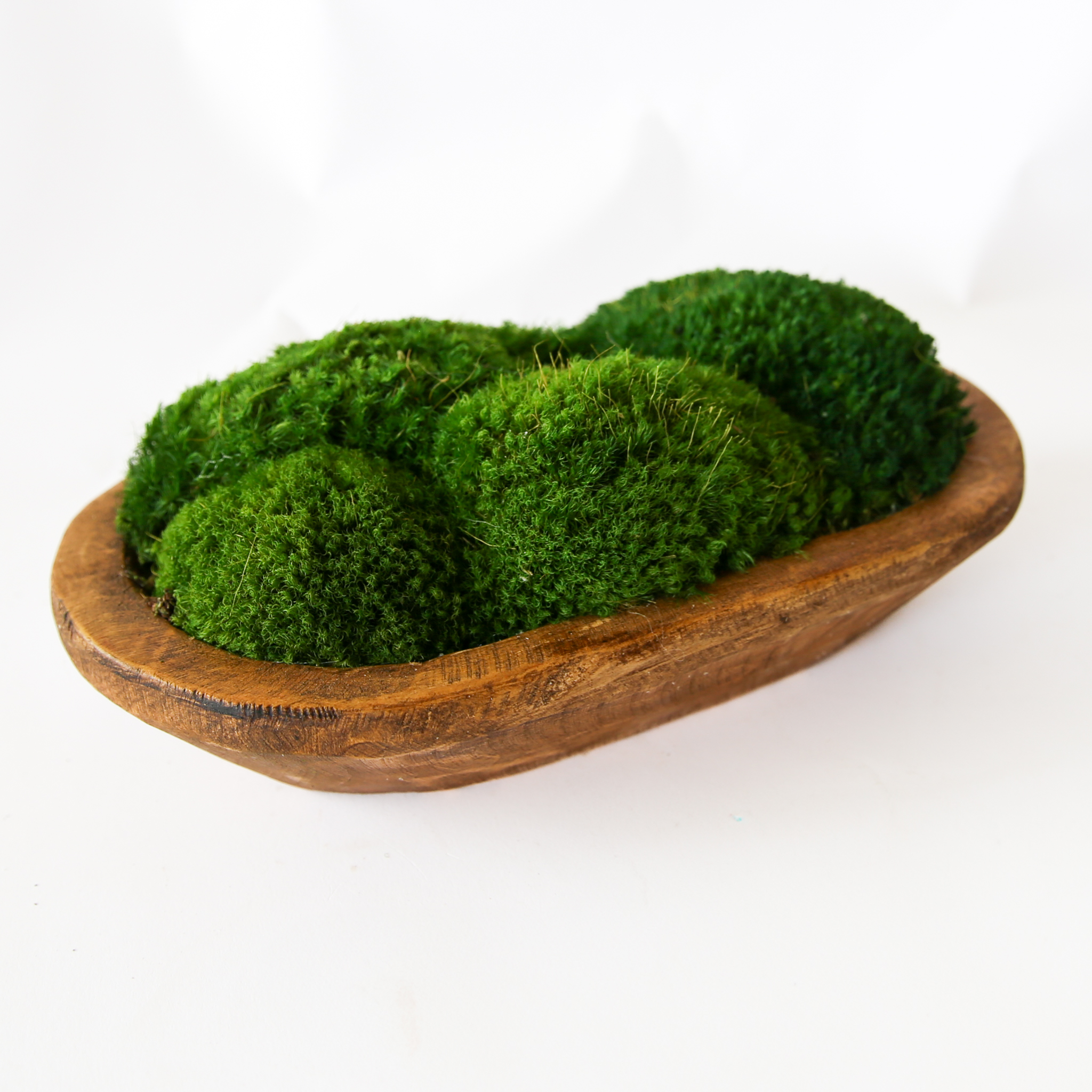 Preserved Moss Petite Wooden Dish