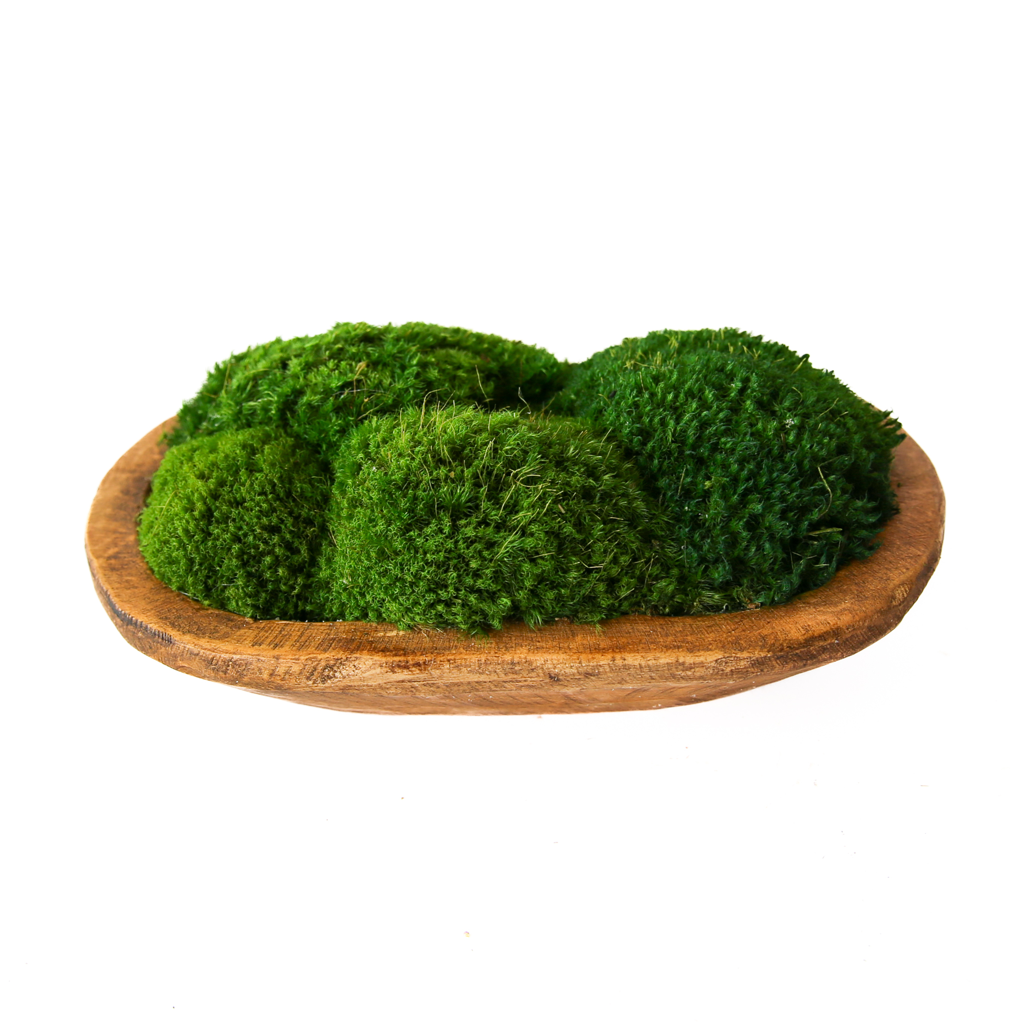 Preserved Moss Petite Wooden Dish - Image 5