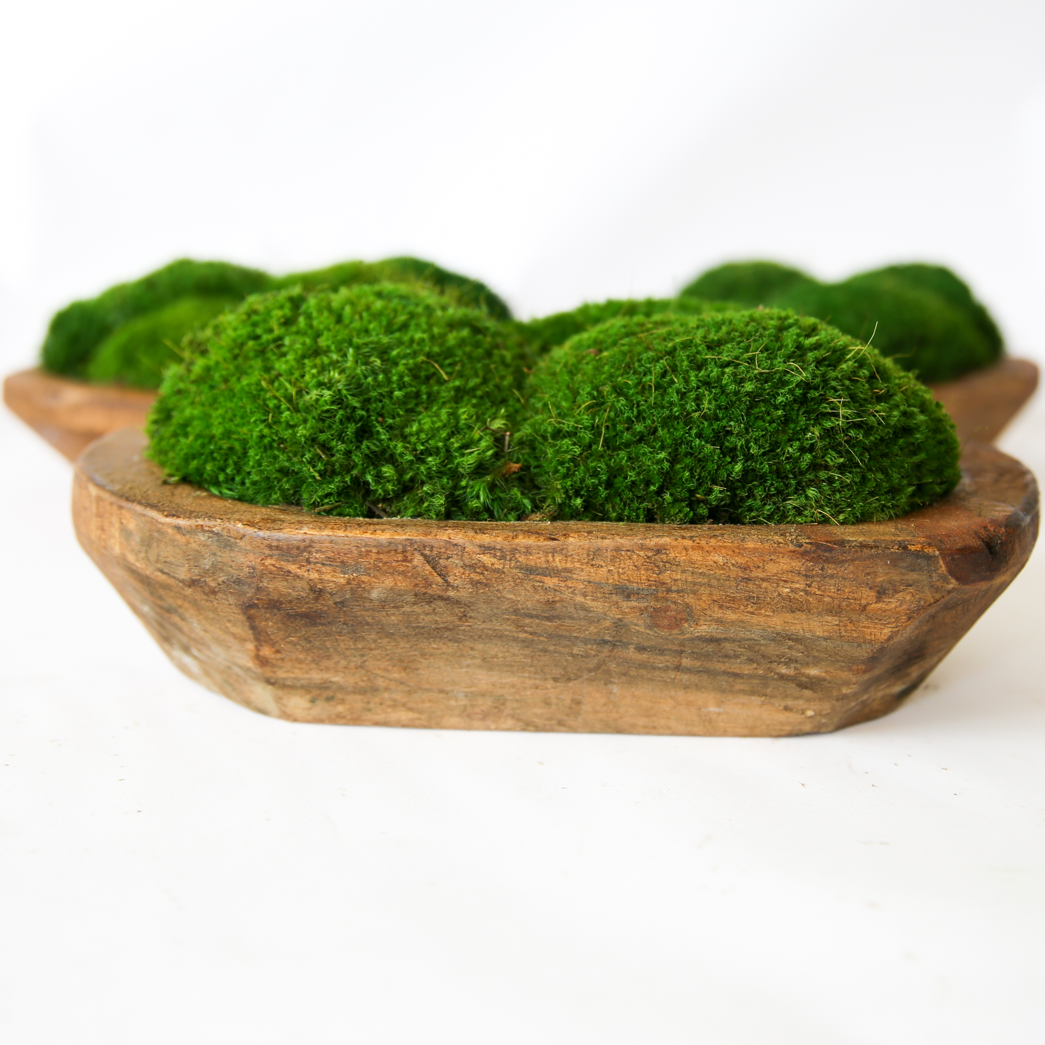 Preserved Moss Petite Wooden Dish - Image 2