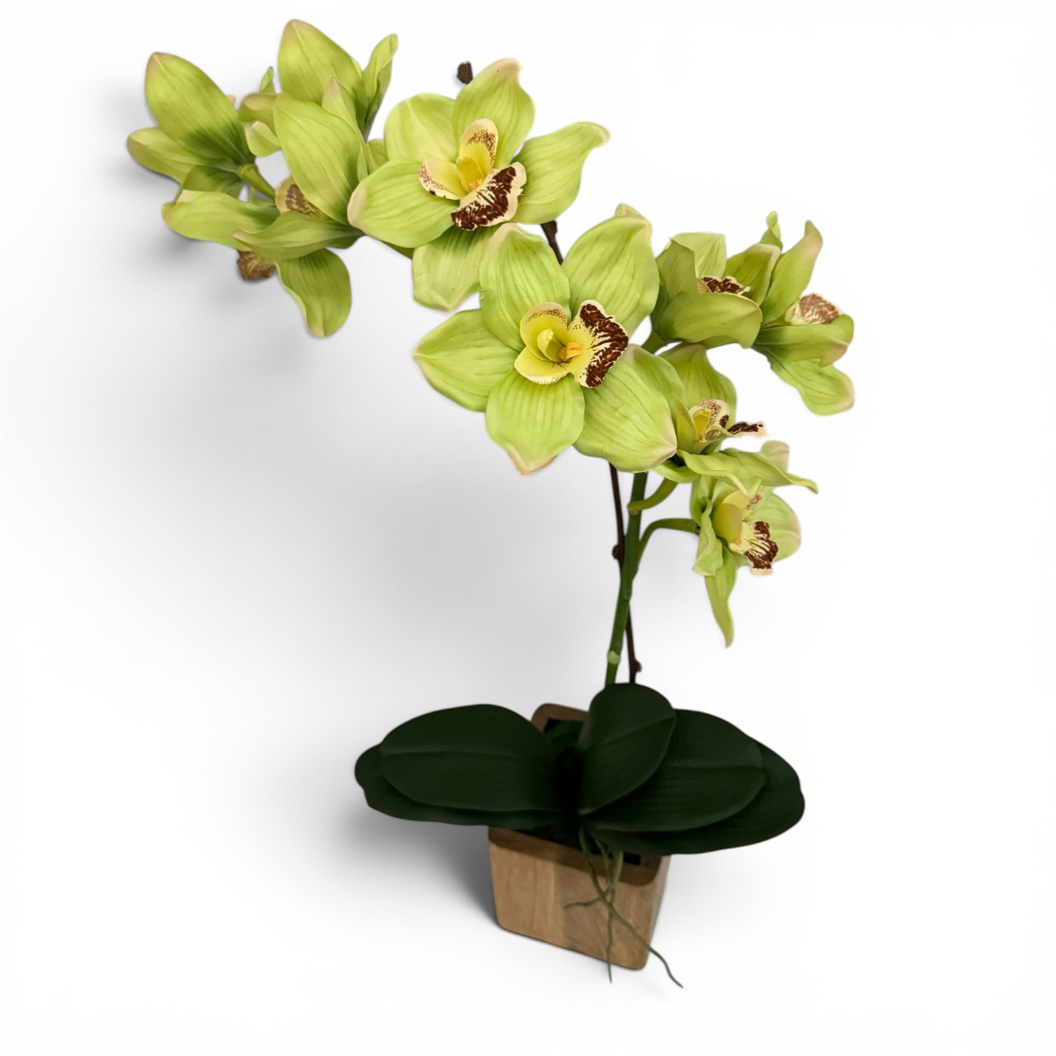 Single Orchid in Mango Wood Cube - Assorted Orchid & Cube Finishes - Image 5