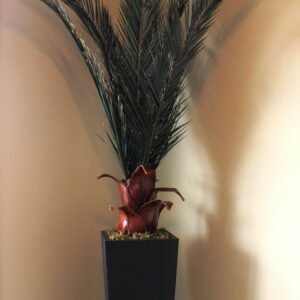 10ft Azar Palm