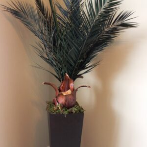 8ft. Azar Palm