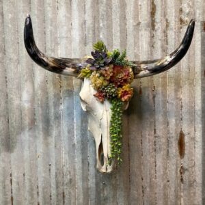 Aggie Lorn Horn Skull