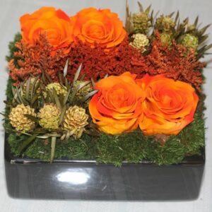 The Diamond Collection - Orange