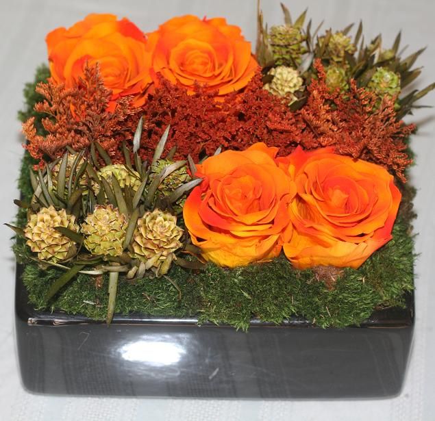 The Diamond Collection – Orange/Coral/Gold