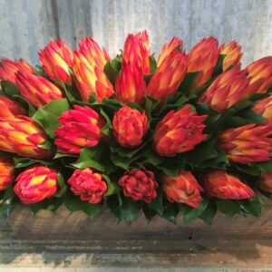 Red Protea Dough Bowl