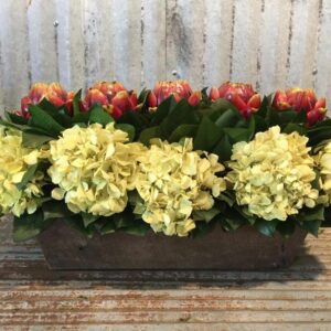 Artichoke Trough