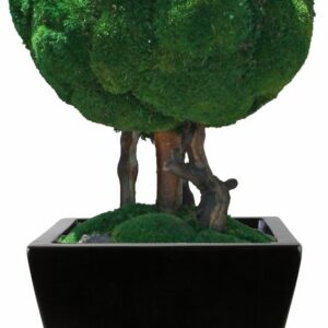 Topiary Moss Ball Single 30"