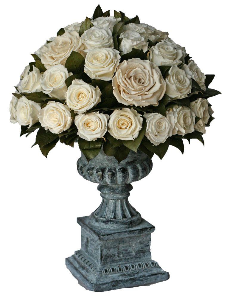 Rose Pave in White