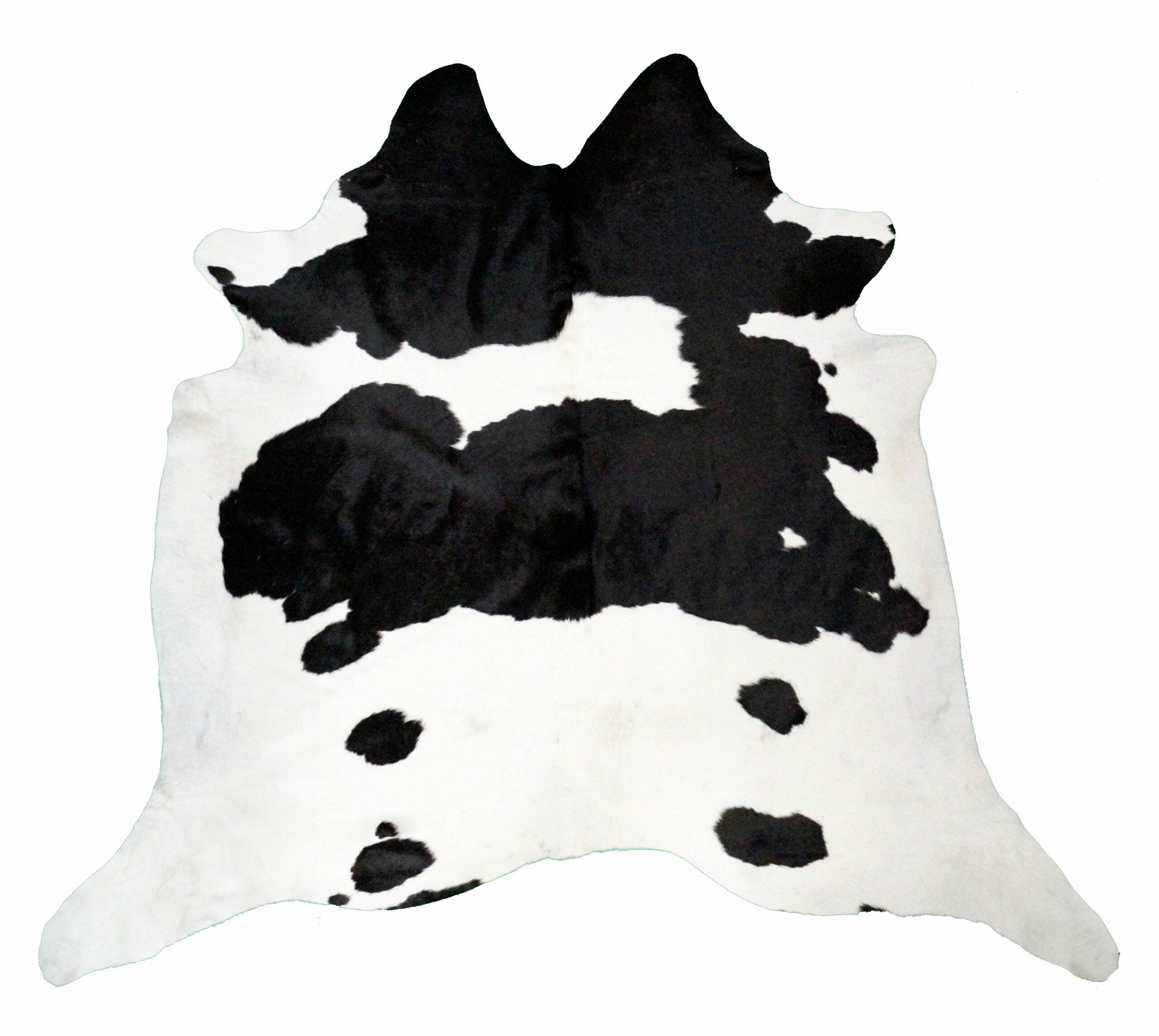 Black and White X-Large