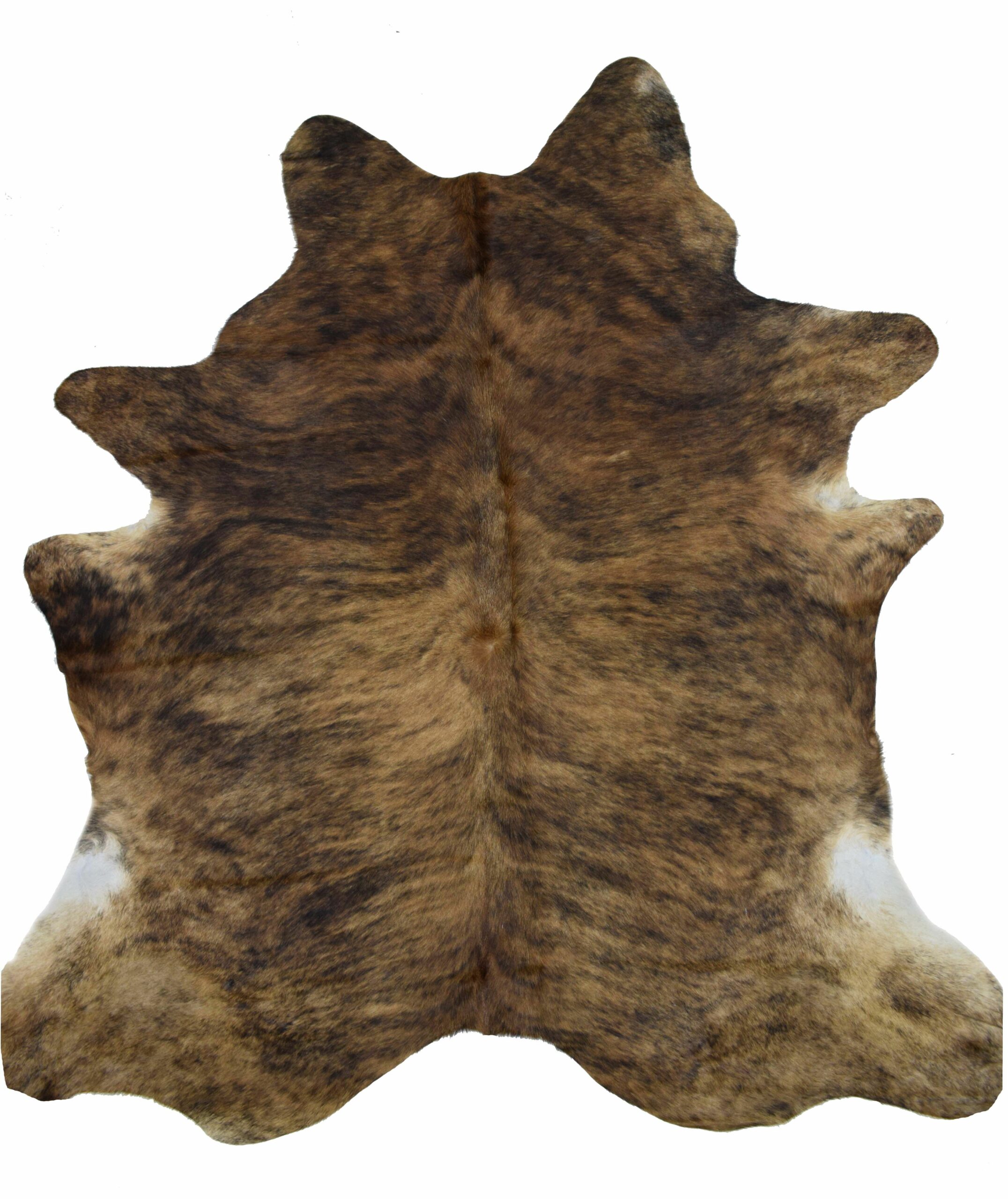 Brindle 5 X-Large