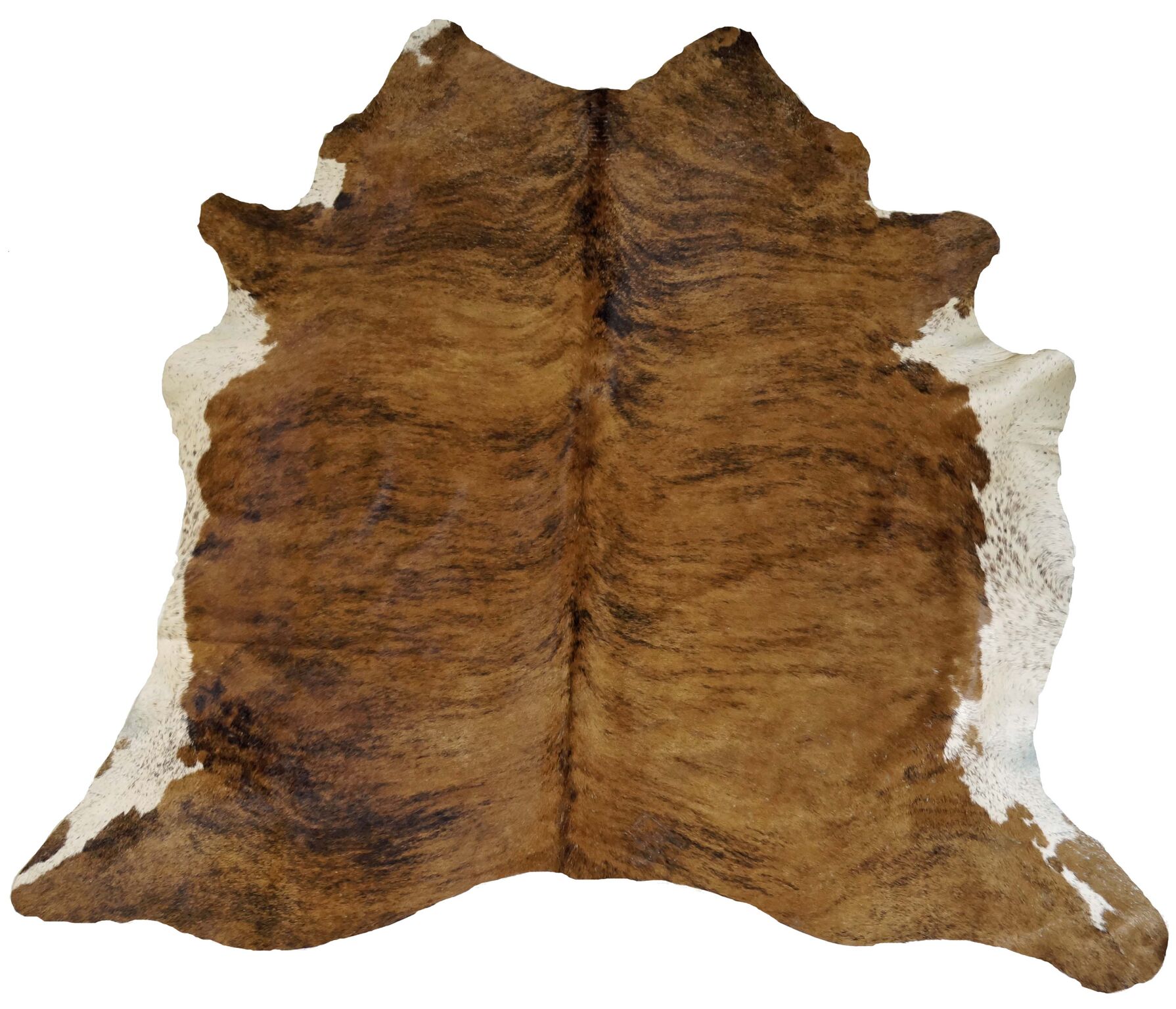 Brindle X-Large