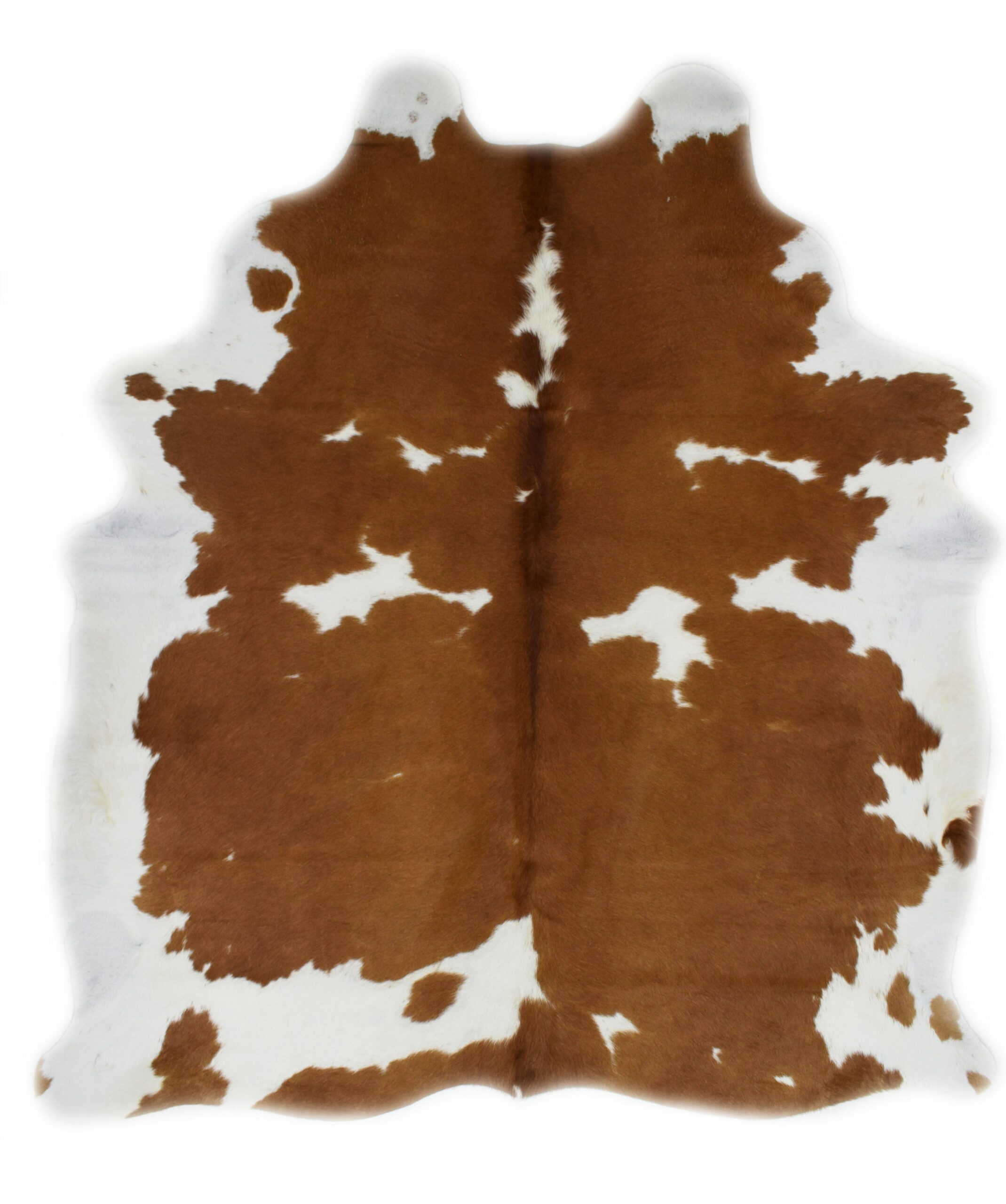 Brown and White X-Large