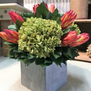 Protea and Hydrangea in Concrete Cube