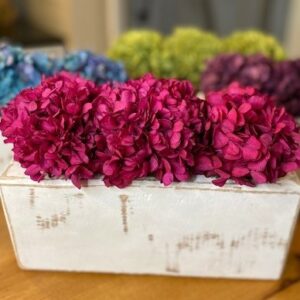 Blooming hydrangea in Sugar mold 5, 7, and 12 Hole