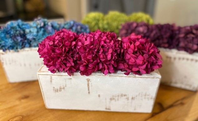 Blooming hydrangeas in Sugar mold