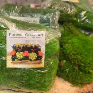 Moss Bag of Mood Moss