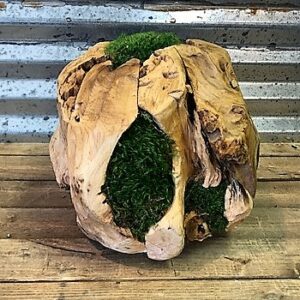 Mossed Sphere Large 12"