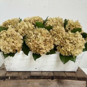 Cottage Natural Hydrangea