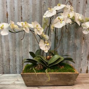 Triple Orchid Doughbowl