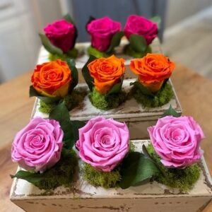 Blooming Roses in Sugar Mold 5, 7, and 12 Hole