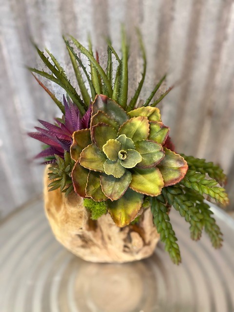8" Orb Succulent