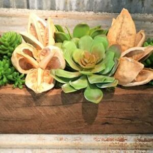 24" Succulent Trough